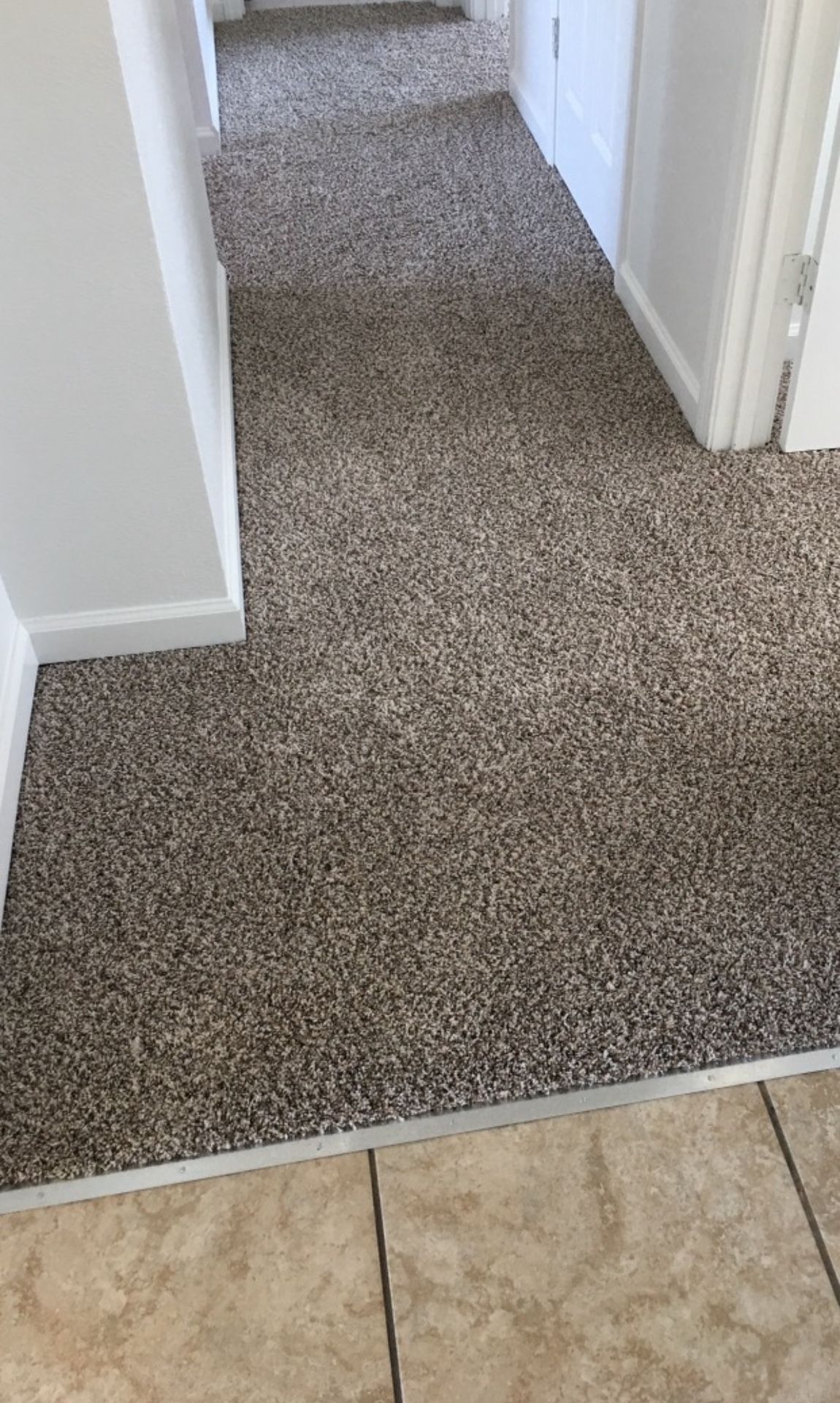 Carpet On Sale