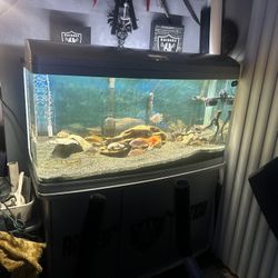 Tank Fish - Read Ad