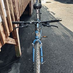 Trek Mountain Bike