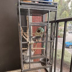 Bird Cage 