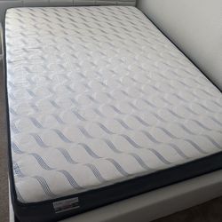 Trundle Bed 