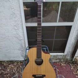 Breedlove ABJ250/SM4 Acoustic / Electric Bass Guitar + hard case 