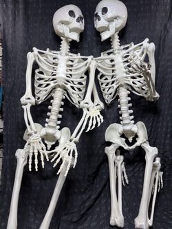 2 Human Size 5Ft Semi- Poseable Skeleton White Halloween Outdoor Decor