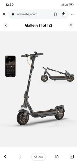 Adult scooter