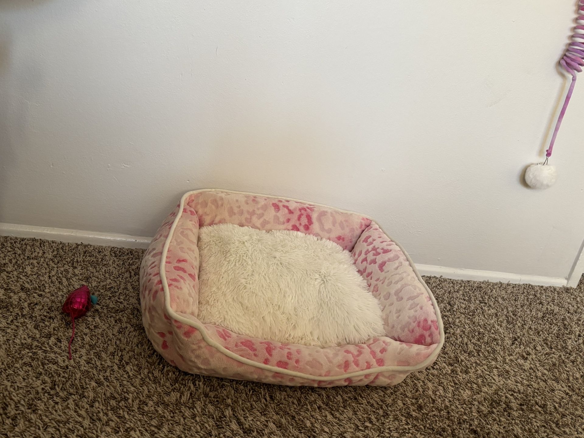 Cat Bed