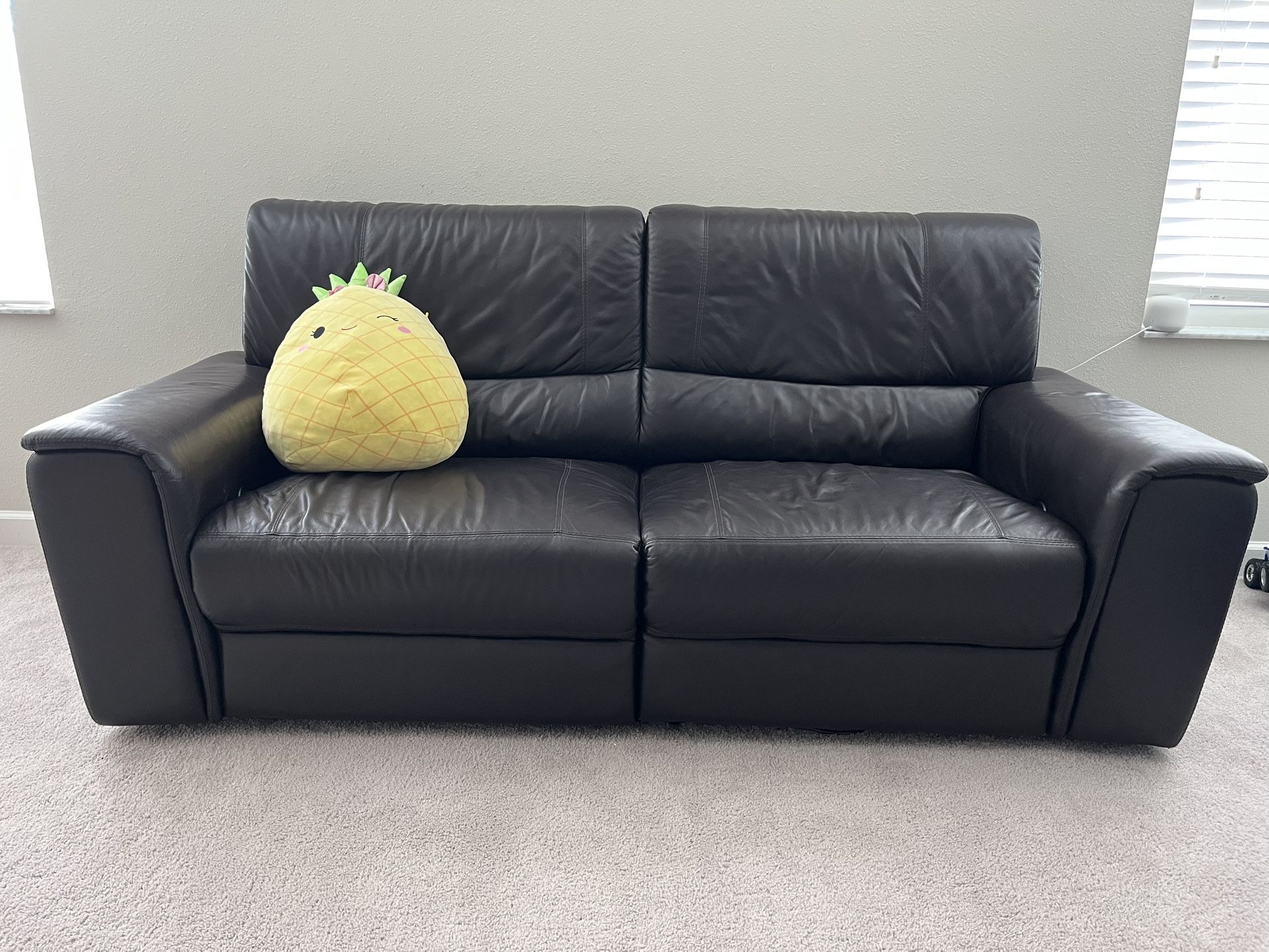 Leather Sofa