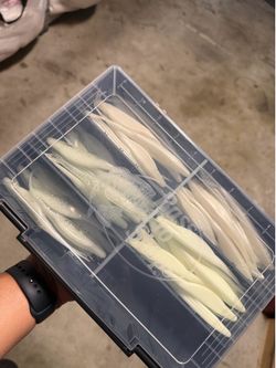 Bass Pro Box/ Soft Plastics Lures