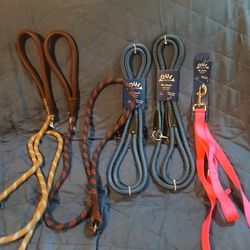 Dog Supplies Treats