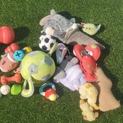 Assorted Dog Toys