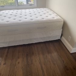 Queen Bed And Box Springs Pillow Top