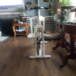 EXCERCISE  SCHWINN BIKE