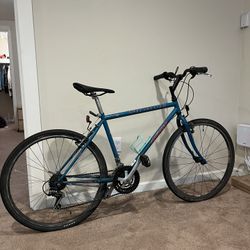 Vintage Hybrid Bike