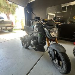 Z125 Pro  2024