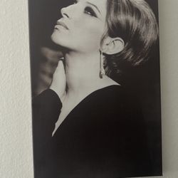 Barbra Streisand Picture 