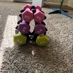 Amazon Basic Dumbbells