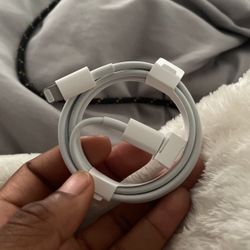 New Apple Charger 
