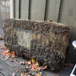 3-Tie Alfalfa Hay Bale, 90-Lb.