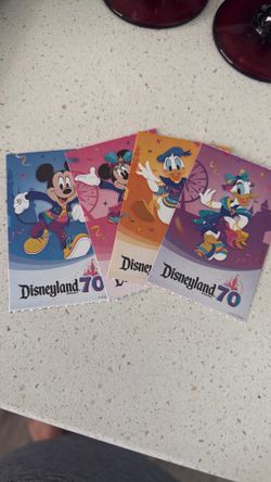 Disney 1-Day 1-Park