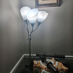 Dimmable Floor Lamp