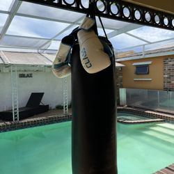 BOXING BAG WITH MOUNT + GLOVES **NEED GONE ASAP!!!**