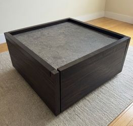 Modern Coffee Table / Centerpiece