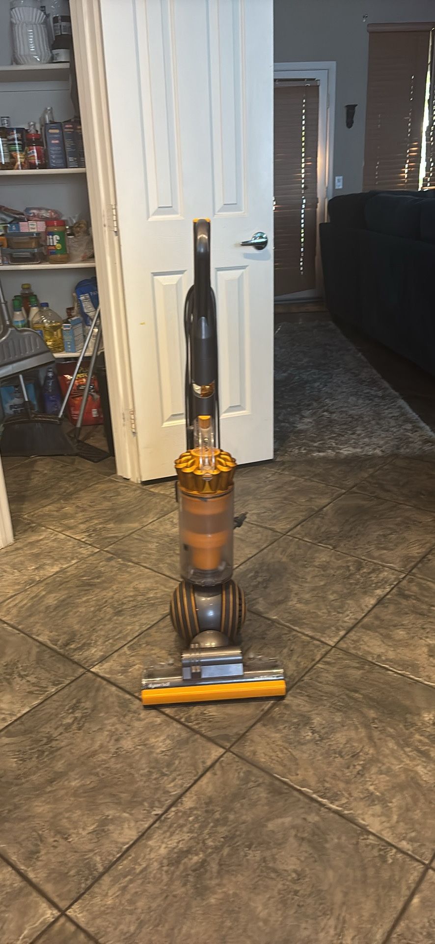 Dyson Ball Multi Floor2
