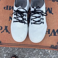 Allbirds Tennis Shoes For Man Size 12 In Good  Condition  Cash = Only 