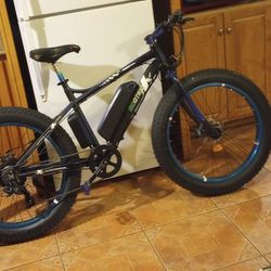 Ecotric Sport cool Electric Bike 36v