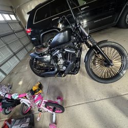 Harley Davidson 883 Sportster 