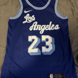LeBron James Los Angeles Lakers Blue Jersey