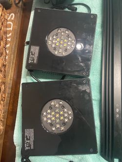 Reef Aquarium Radion G4 Lights