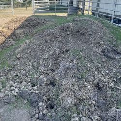 Free Horse Manure
