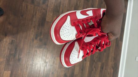 Red nikes dunks