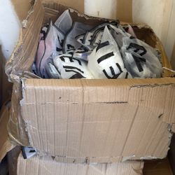 Clothes SHEIN + Short Pants 