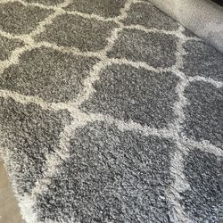 8x10 Area Rug