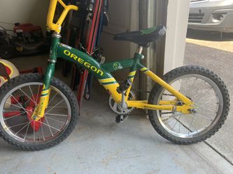 Bicycle.. kids.. ducks football