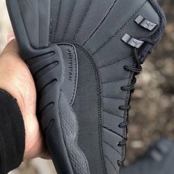 Size 11.5 Jordan 12 Winterized (Perfect Condition) 
