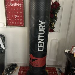 punch bag 