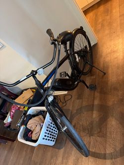 Nishiki electric bike