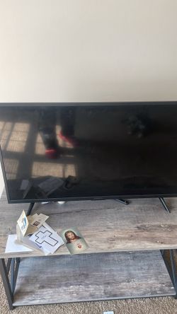 Insignia Flat Screen TV