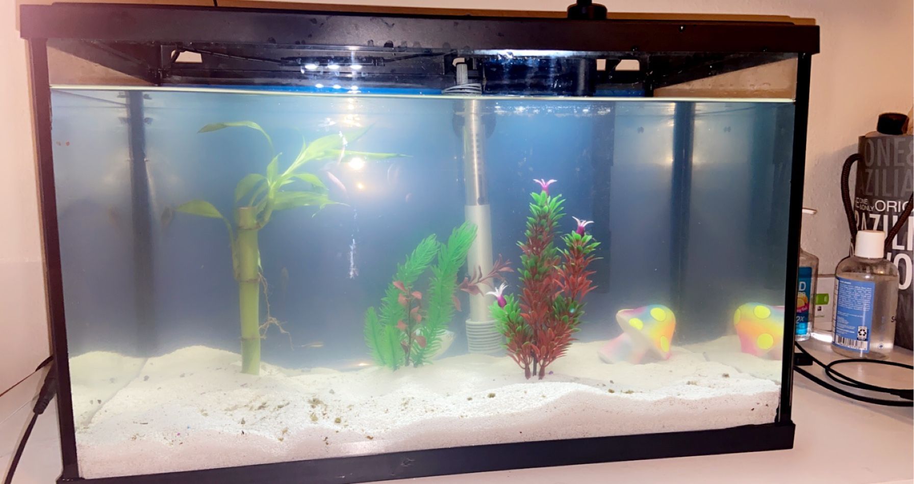 10 gallon Top Fin aquarium (filter and heater included)