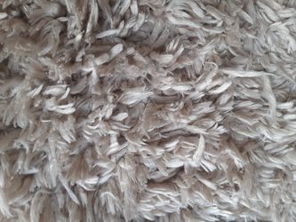 Large ivory carpet $80