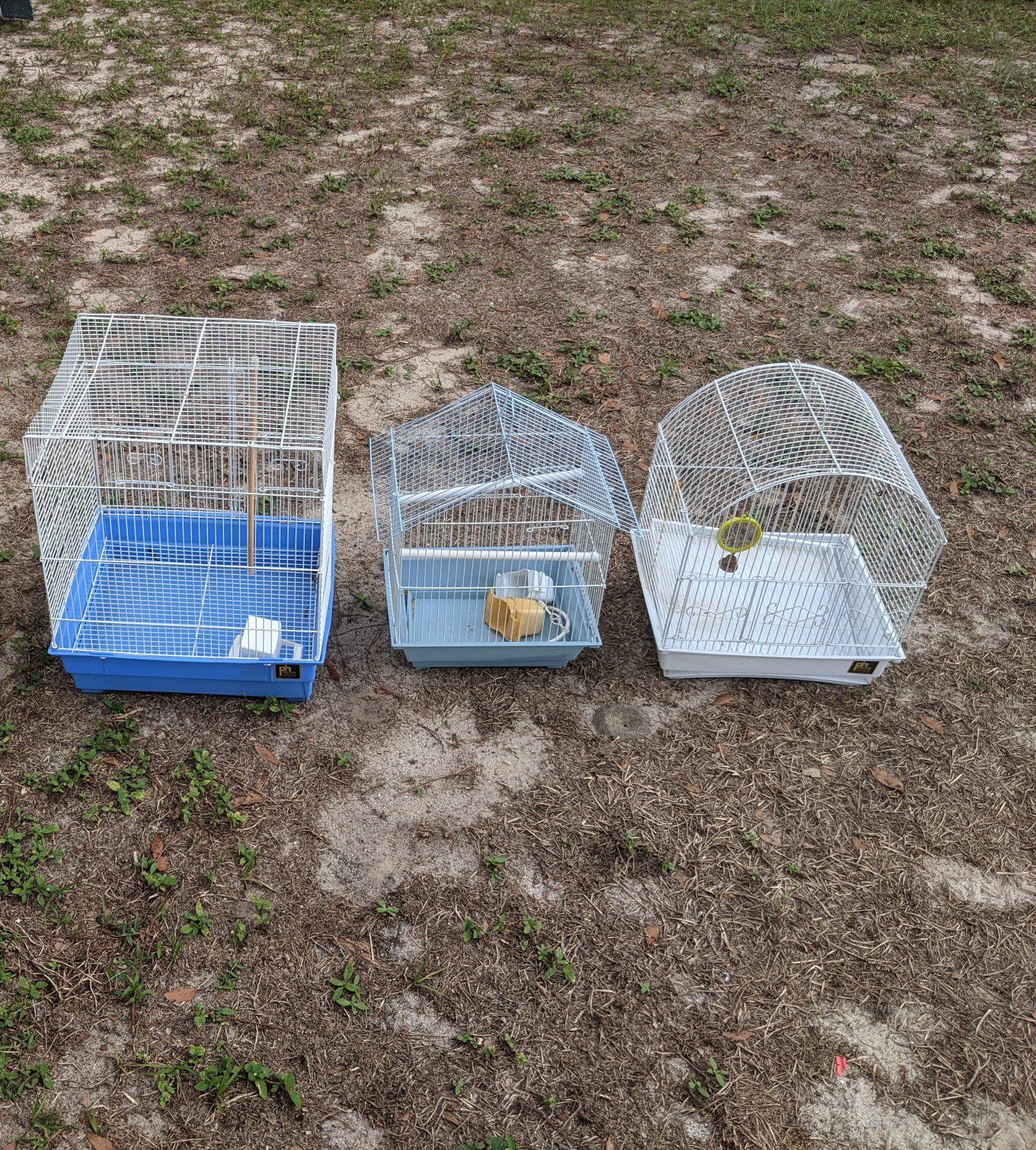 Birds cages$10 each