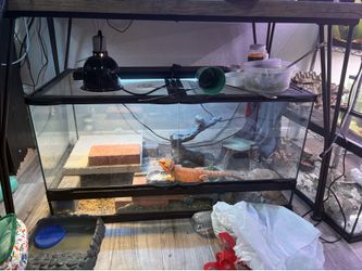 40 gallon front open setup