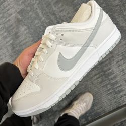 Nike Dunk Low Retro White Pure Platinum Mens 11.0
