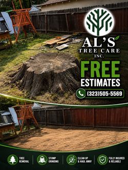 Stumps