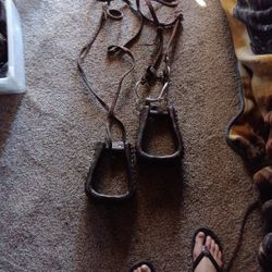 Horse Riding Equitment