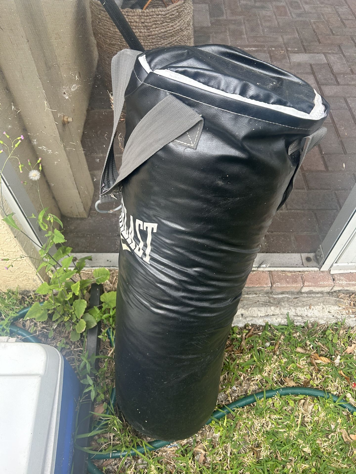 Punching Bag