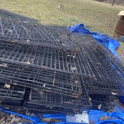 Dogs Kennels 