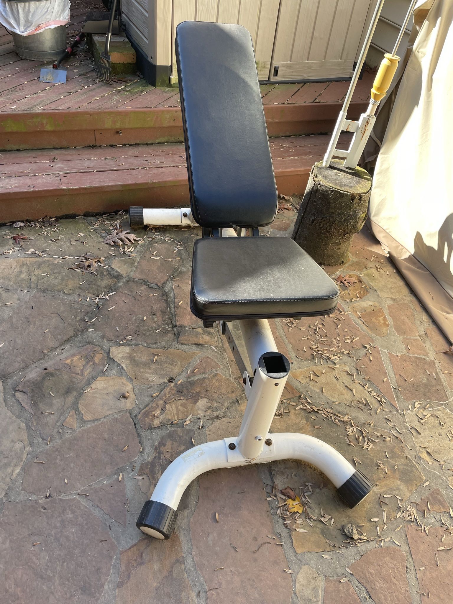 Free Weight Bench